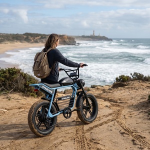 Vélo électrique tout-terrain à pneus larges avec pneus amortisseurs, vélo électrique polyvalent pour les chemins en terre et en asphalte - Product Image 1