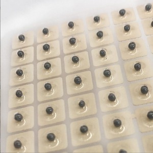 Parches de presión para puntos de acupuntura en la oreja Fengfan, 600 unidades, piedra Bian negra, terapia de masaje para la salud del oído - Product Image 4