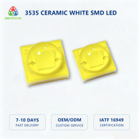 LED Céramique Blanche B2B 3535 350mA 1W Garantie 2 Ans pour Projecteur Industriel OEM ODM Fournisseur