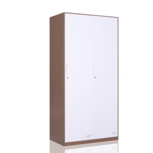Armoire de rangement <span class=keywords><strong>en</strong></span> acier, classeur à 2 portes avec <span class=keywords><strong>casier</strong></span> d'école utilisé pour les vendre - Product Image 3