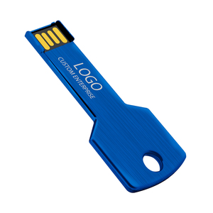 Hot bán OEM kim loại coloured <span class=keywords><strong>Key</strong></span> <span class=keywords><strong>Shape</strong></span> Pendrive 4GB đến 64GB <span class=keywords><strong>USB</strong></span> 2.0 giao diện ổ đĩa flash U đĩa - Product Image 2
