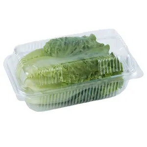 Contenedor de almacenamiento de lechuga y vegetales frescos, caja transparente desechable para ensaladas