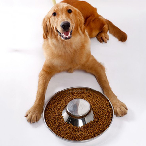 Slow Feeding Bowl Slow Feed Stop Bloat Stainless Steel Dog Bowl Slow Feeder <strong>Pet</strong> Bowl - Product Image 1