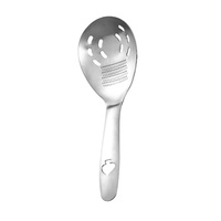 Cuillère à broyer le gingembre multifonction en acier inoxydable, râpe à gingembre, ouvre-bouteille, presse-purée d'ail, cuillère à égoutter