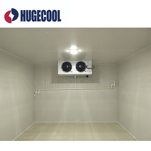 Hugecool petits fruits <span class=keywords><strong>et</strong></span> légumes personnalisés congélateur à pied chambre froide service de stockage pour hôtel restaurant - Product Image 3