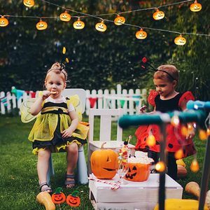 Garden Party Holiday Christmas Lighting Decoración impermeable Luces de cadena de calabaza al aire libre - Product Image 4
