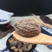 He Zi Vente en gros de Chebula, herbe médicinale chinoise, Fructus Chebulae, variété complète de Myrobalan