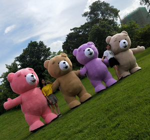 Trang phục mascot cặp đôi gấu bông <span class=keywords><strong>2026</strong></span> tùy chỉnh cho sinh nhật, đám cưới, Giáng sinh, quảng cáo, ngày lễ tình nhân dành cho người lớn - Product Image 6