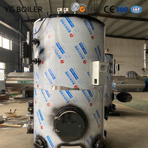 YG LHG 60 HP 수직 바이오매스 화재 튜브 증기 발생기 보일러 조립식 빔 경화 콘크리트 부품 경화 연료 - Product Image 4