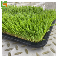 Conteneur de ferme conteneur d'expédition agricole 20 '/40' pieds pour Microgreen/laitue/herbage