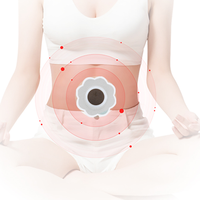 Lijitang Patch Minceur Brûle-Graisse Détox pour Perte de Poids, Autocollant Ventral pour la Taille Brûle Graisse Rapidement