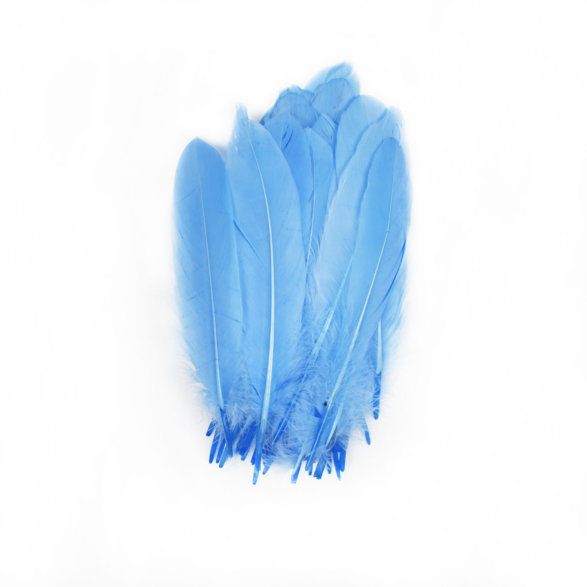 PU ciel