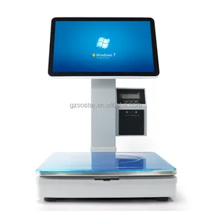 Wholesale 15.6 inch Dual Touch Screen POS System Weighing Scale PC Scale All In One POS Scale with Printer Support Win 7/8/10