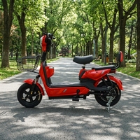 Scooter électrique à deux roues 2026, cyclomoteur, batterie au plomb-acide 48V, vélo électrique pour adultes et usage familial avec dossier passager