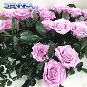 Vente en gros d'arrangements de fleurs séchées roses conservées <span class=keywords><strong>Bouquet</strong></span> de fleurs avec longue tige - Product Image 4