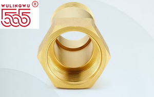 Adaptateur de buse de moulage par injection, tige d'extension filetée à tête hexagonale forgée pour machine de contrôle de température de moule, raccords de tuyauterie, haute lissitude - Product Image 2