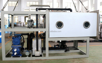 Grande capacité 500Kg industriel alimentaire fruits légumes lyophilisateur sous vide lyophilisateur lyophilisateur séchage Machine