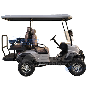 Offre Spéciale : Voiturette de Golf Électrique de Luxe Personnalisée pour Fêtes de Noël, Buggy Tout-Terrain, Voiturette de Club Électrique à Prix d'Usine - Product Image 2