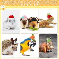 Petit chapeau fait main pour animaux de compagnie pour hamster souris perroquet avec une branche de fleur mignonne couvre-chef pour fournitures pour petits animaux