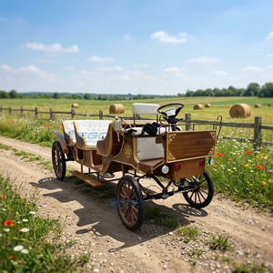 Offre Spéciale – Voiture de Mariage Luxe Romantique à 4 Roues en Acier, Électrique, à Trois Rangées, pour Visites Touristiques et Transport Spécialisé - Product Image 1