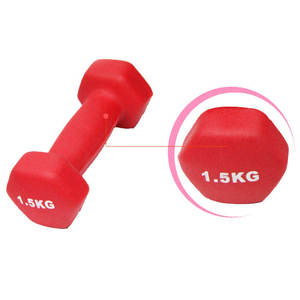 Accessoires d'équipement de gym en néoprène, haltères fixes recouvertes de caoutchouc avec logo - Product Image 5