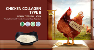 Qualità <span class=keywords><strong>Premium</strong></span> di tipo II cartilagine di pollo collagene Peptide per la bellezza bevande per la cura congiunta - Product Image 2