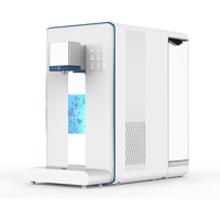 Machine à eau à hydrogène de comptoir Portable filtre électrique H2 générateur d'hydrogène distributeur d'eau de bureau