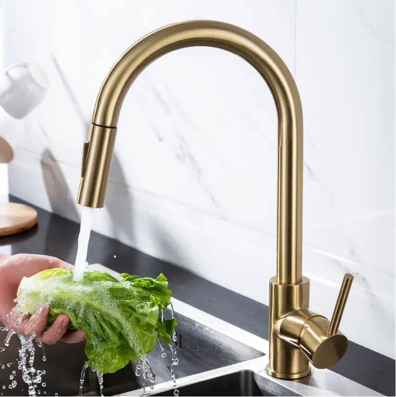 Manufacturer's new bathroom kitchen single-hole stainless steel faucet mixer pull-down flexible kitchen faucet