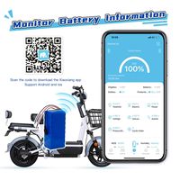 Batterie TS personnalisée pour scooter électrique, voiturette de golf, batterie à dents bleues, batterie lithium-ion 36V, 48V, 52V, 60V, 72V