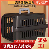 Boîte de transport pour animaux de compagnie en plastique, cage pour chat et chien, boîte de transport portable avec motif géométrique, modèle PC01-1 pour petits animaux