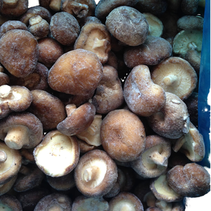 Champignons Shiitake frais congelés pour exportation cultivés en tranches entières traitées <span class=keywords><strong>IQF</strong></span> assaisonnées à prix sain de 1kg avec les acheteurs
