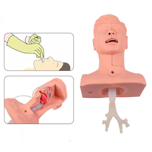 Simulator latihan hisap legm, Model latihan penghisap hidung dan Oral - Product Image 2