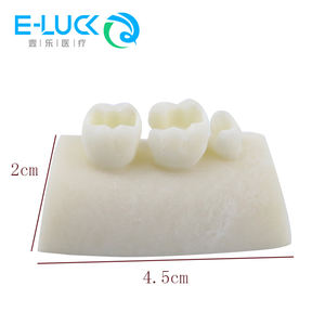 Impilamento di resina dentale blocchi di esercizio per otturazioni canalari esercizio medico esame modelli di formazione Endo blocco - Product Image 5