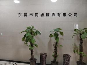 Tongrui camicia a righe in cotone 100% da donna camicetta Casual da donna camicia <span class=keywords><strong>elegante</strong></span> a maniche lunghe - Product Image 6