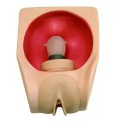 Modelo avanzado de Anatomía Humana anticonceptiva femenina, simulación de habilidades maternas, entrenamiento de ciencia médica, modelo de anticoncepción femenina - Product Image 5