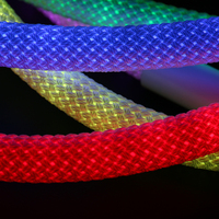 Bande lumineuse LED tressée en néon 360 degrés, lumière naturelle 360