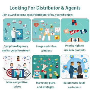 Prémélange de vitamines et minéraux à 1 % pour l'engraissement des poulets de chair à prix abordable – Favorise la prise de poids - Product Image 4