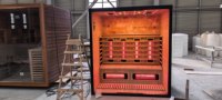 Sauna électrique infrarouge lointain à vapeur pour 2 personnes, en bois massif de pruche moderne, avec panneau de commande numérique, 4 chauffages et fonction sel de l'Himalaya
