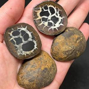 CrystalHola - Rebanadas de Piedra Natural Marroquí con Patrón de Tortuga, Talladas a Mano, Decoración Bohemia de Alta Calidad, Educativas - Product Image 6