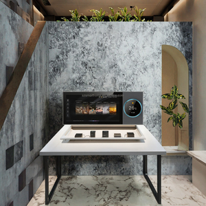 8*30W nhà thông minh Alexa khuếch đại Trần Loa treo tường với IPS hiển thị USB Wifi & ZigBee tuya máy chủ Android hoạt động - Product Image 2