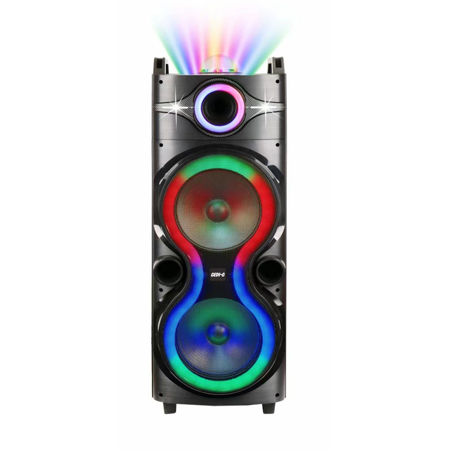 GD-2012/13 Dual 10 Inch Bluetooh Speaker With Led Disco Light and Wireless Mic for Family Ktv Sing Big Speakers Outdoor Dj Party
