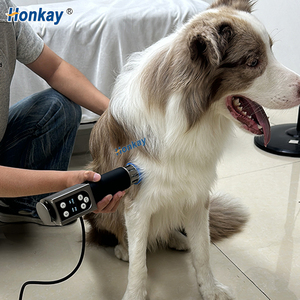 Appareil de thérapie électronique magnétique à ondes de choc ODM pour chevaux, augmente le flux sanguin, équipement de thérapie par ondes de choc pour clinique vétérinaire - Product Image 1