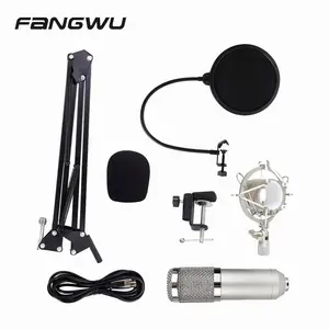 Good Quality Fet Condenser Karaoke E108 Studio Microphone Setup