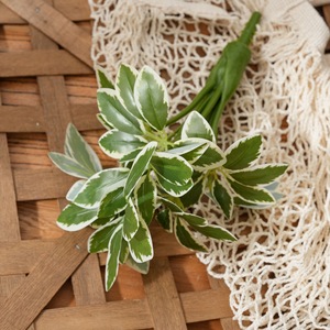 Planta Artificial CallaFloral Schefflera en Forma de Árbol, Blanca y Verde, de PVC, Decoración para Bodas, Estilo INS, Comercio Electrónico Transfronterizo - Product Image 3