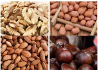 Machine commerciale de torréfaction d'arachides, blé, noix de cajou, amandes, grains de café, capacité 30-50 kg, type discontinu, tambour en acier inoxydable, moteur rotatif