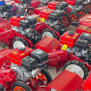 Comodo tagliaerba e terreno per prato e frutteto - Product Image 3