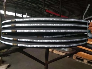 Гидравлический шланг BAILI, сделано в Китае, Лидер продаж R1 R2 4SH 4SP - Product Image 4