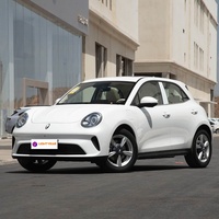 Nouvelle version de luxe OR-A Good Cat EV 401 km |   Voiture électrique ORA CAT avec batterie de 45,9 kWh en stock