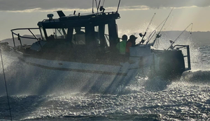 Barco de Pesca Familiar <span class=keywords><strong>Gospel</strong></span> de 7.5m (25 pies) de Aluminio de Lujo con Cabina para Cruceros Deportivos, Recreativos y de Pesca - Product Image 6