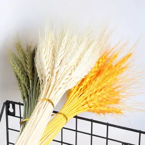 Preserved Triticum dried flowers wheat plants home decor preserved natural dried flower bouquet decoration flower